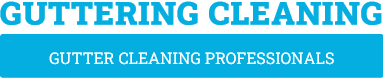 Tauranga Gutter Cleaning - Gutter Cleaning Tauranga